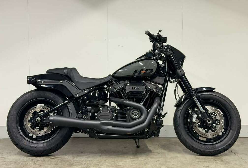 SOFTAIL FXFBS
