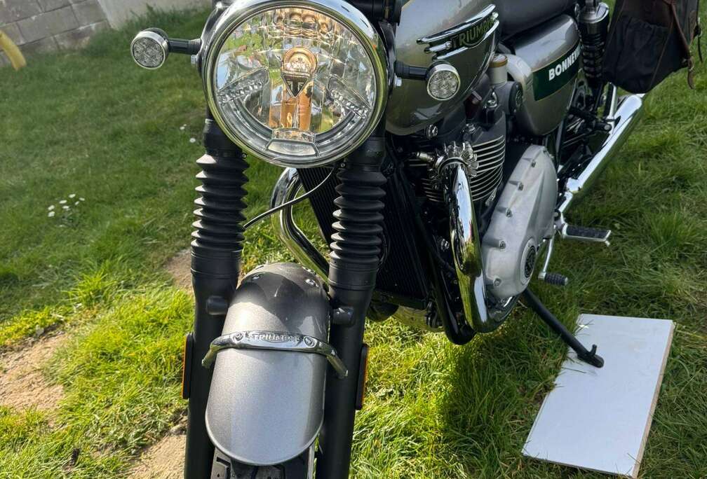 Triumph Gold Line
