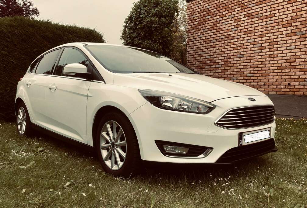 Ford Focus 1.0 125cv EcoBoost Titanium - 2016 - Courroie neuve