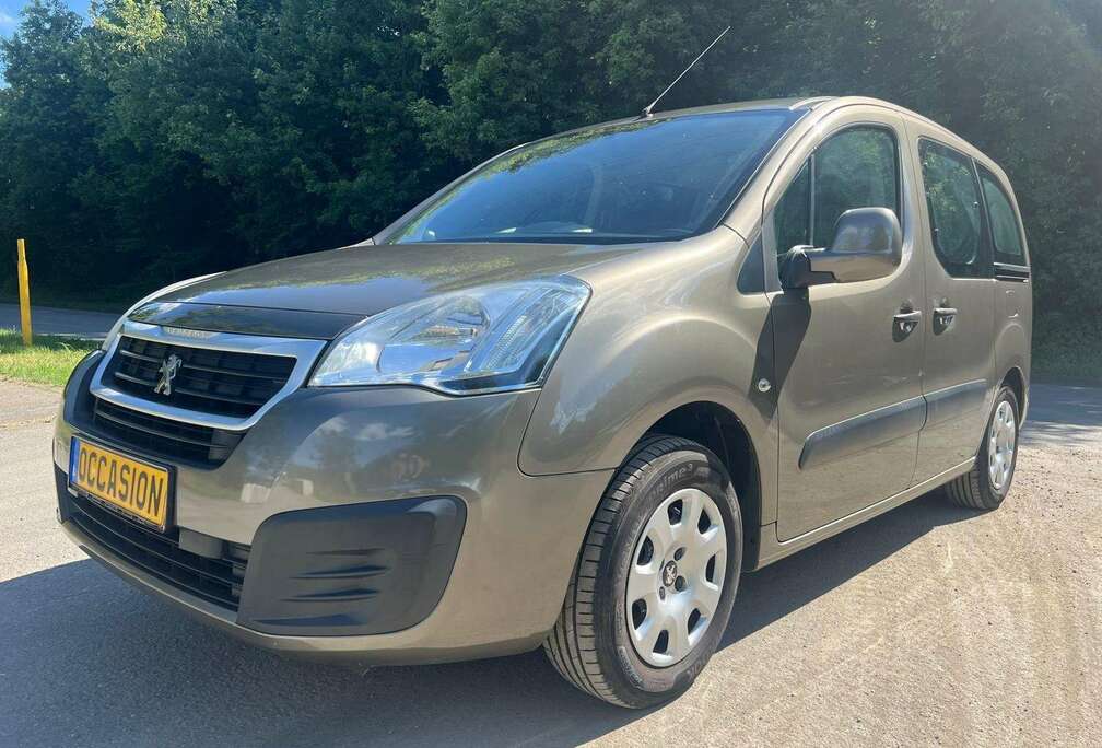 Peugeot Partner Tepee 110 Stop