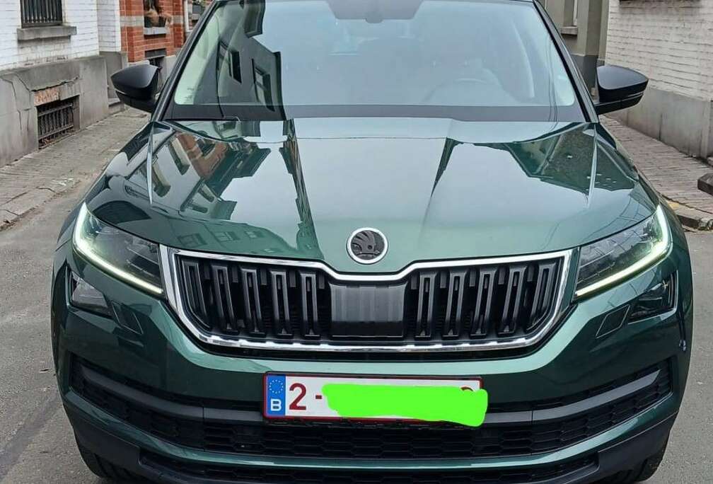 Skoda 2.0 CR TDi 4x4 Scout DSG