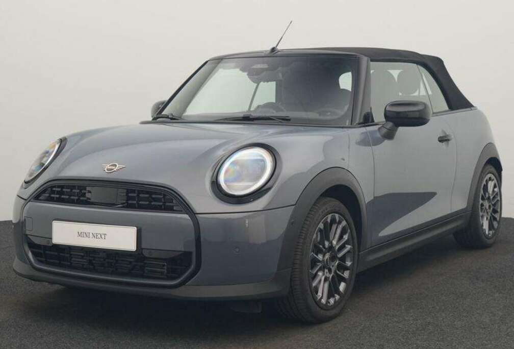MINI Classic Trim
