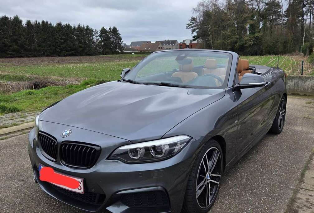BMW Cabrio 218i OPF