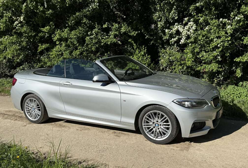 BMW Cabriolet 218i