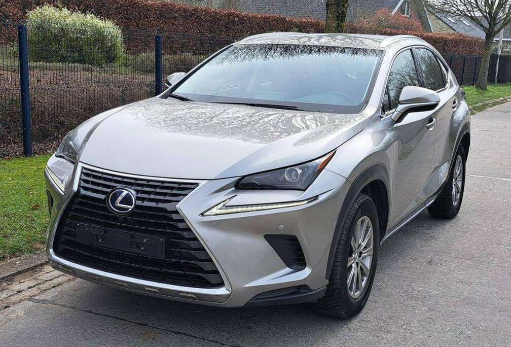 Lexus NX 300h 2.5i AWD Business Edition  E-CVT (EU6.2)