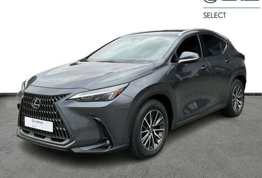 Lexus 244hp HEV FWD Executive L | 360° | carplay