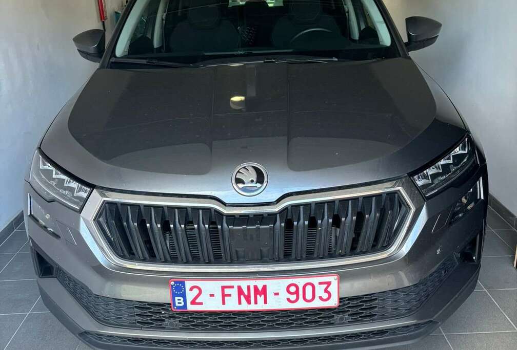 Skoda Karoq 1.5 TSI ACT DSG Drive