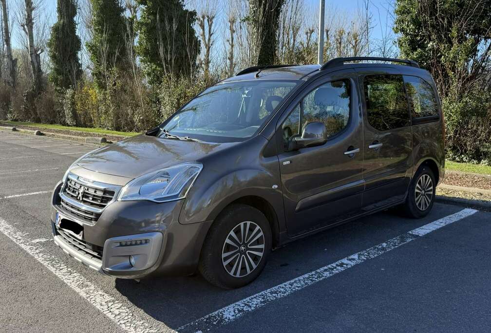 Peugeot Tepee 1.6 BlueHDi Style S&S