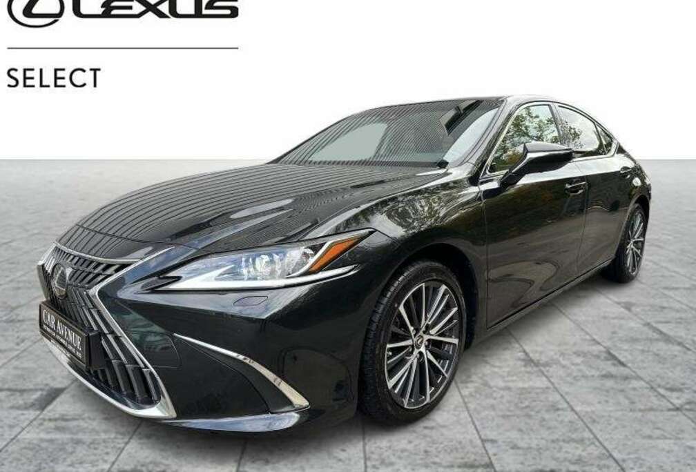 Lexus Executive Line