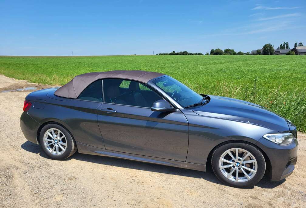BMW Cabriolet 220 dAS