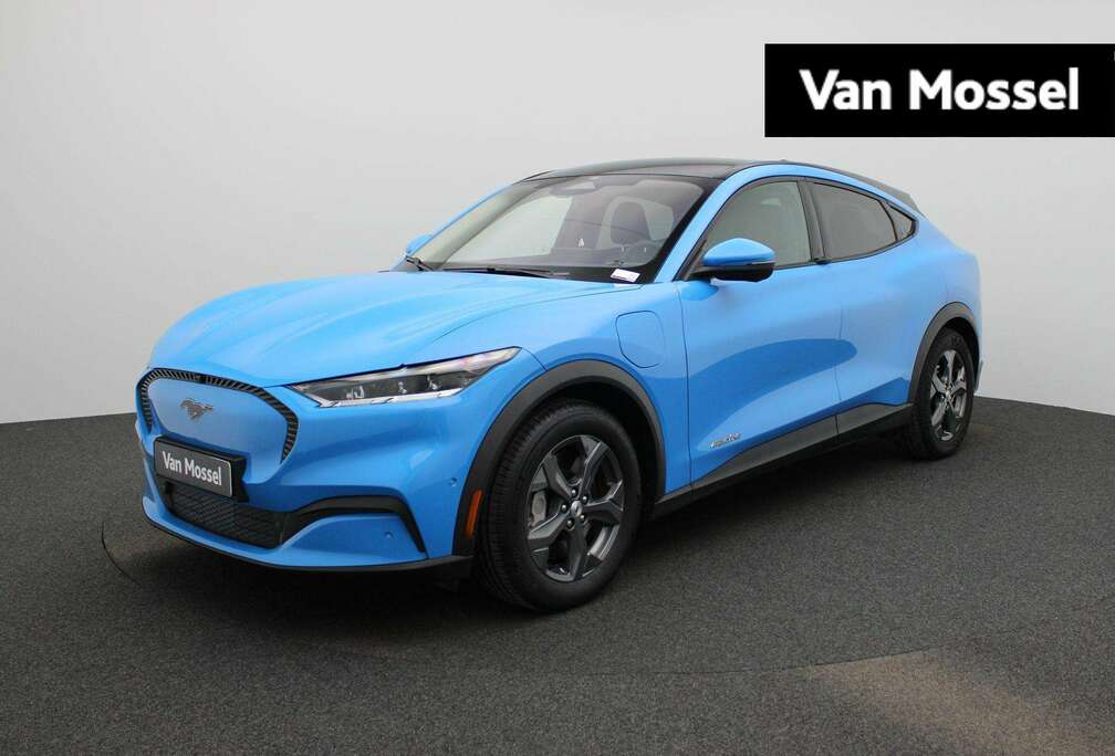 Ford Standard Range RWD 76 kWh  198kW