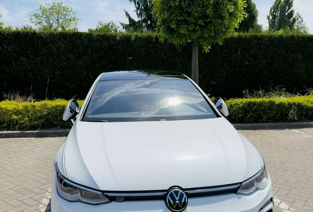 Volkswagen Golf 8 Rl Pakket Fuul Opties