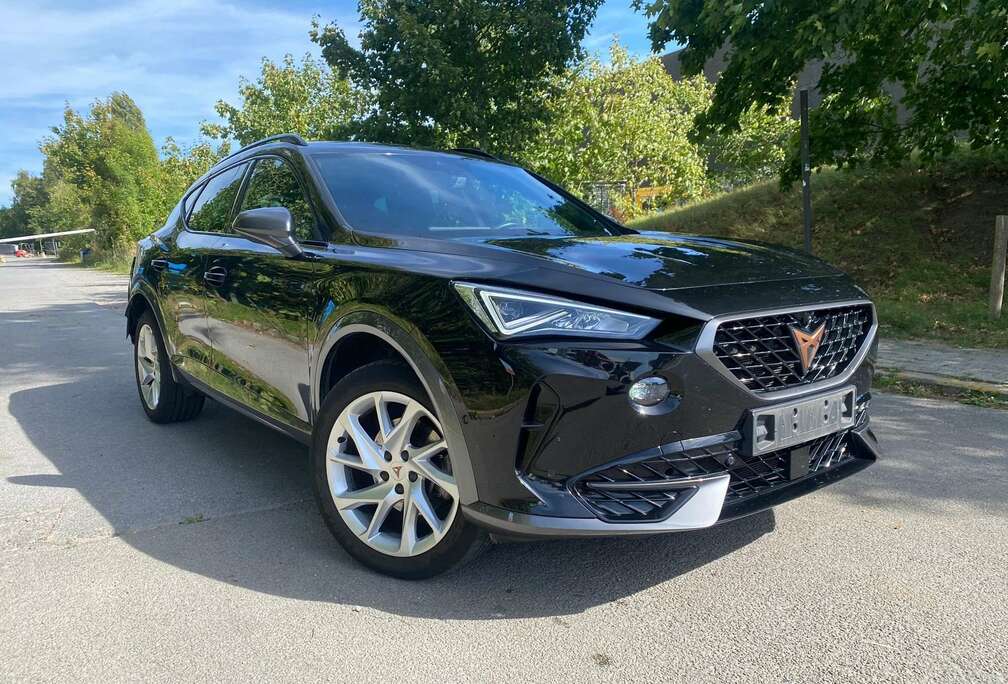 Formentor 2.0 TDI 4Drive DSG Tribe Edition