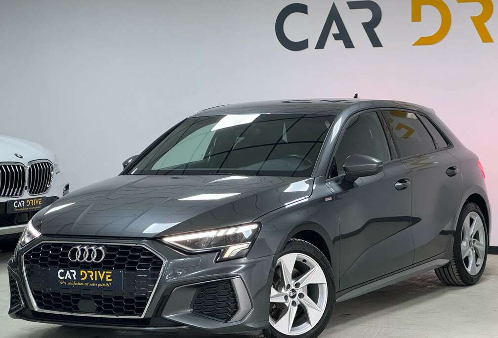 Audi 30 TDi S line B AUTO PALETTE/PARKASSIST/ACC/FULL