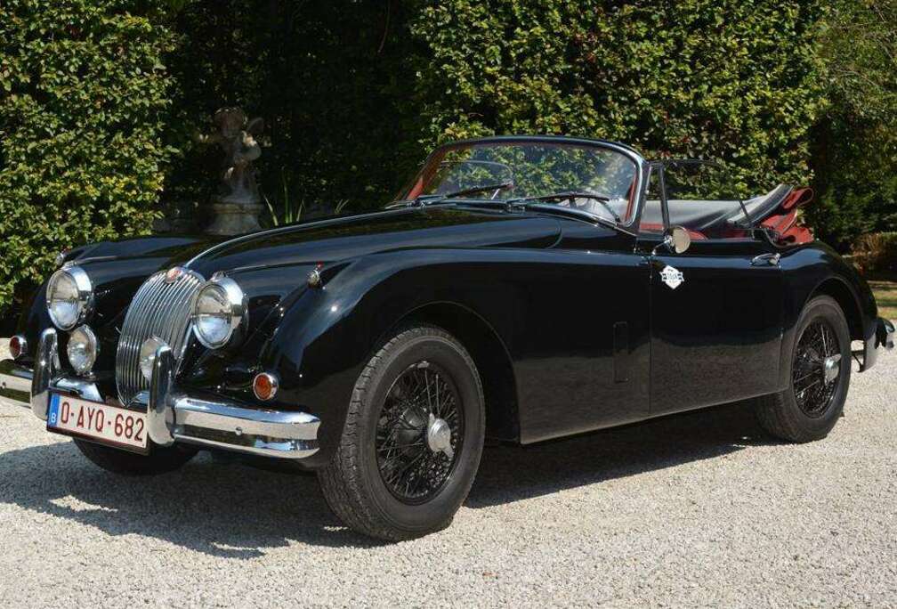 Jaguar 150