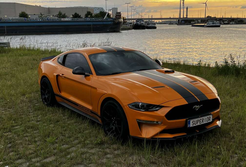 Ford 2.3 EcoBoost (EU6.2)