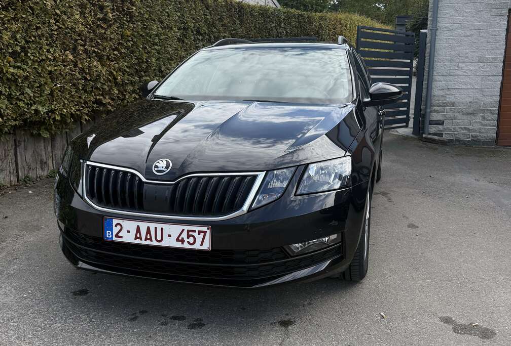Skoda SW CNG 1.5 TGI G-TEC Style DSG