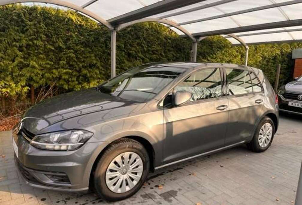 Volkswagen Golf 1.0 TSI OPF ,A.Camera,carplay,E.L spiegels