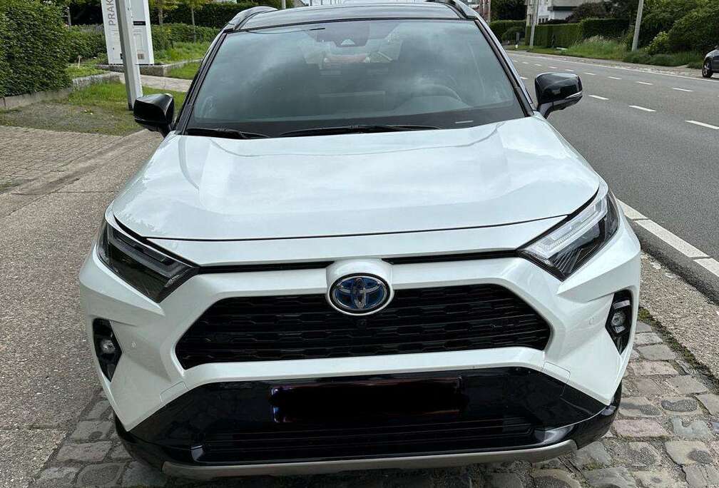 Toyota RAV 4 2.5 4x2 Hybrid