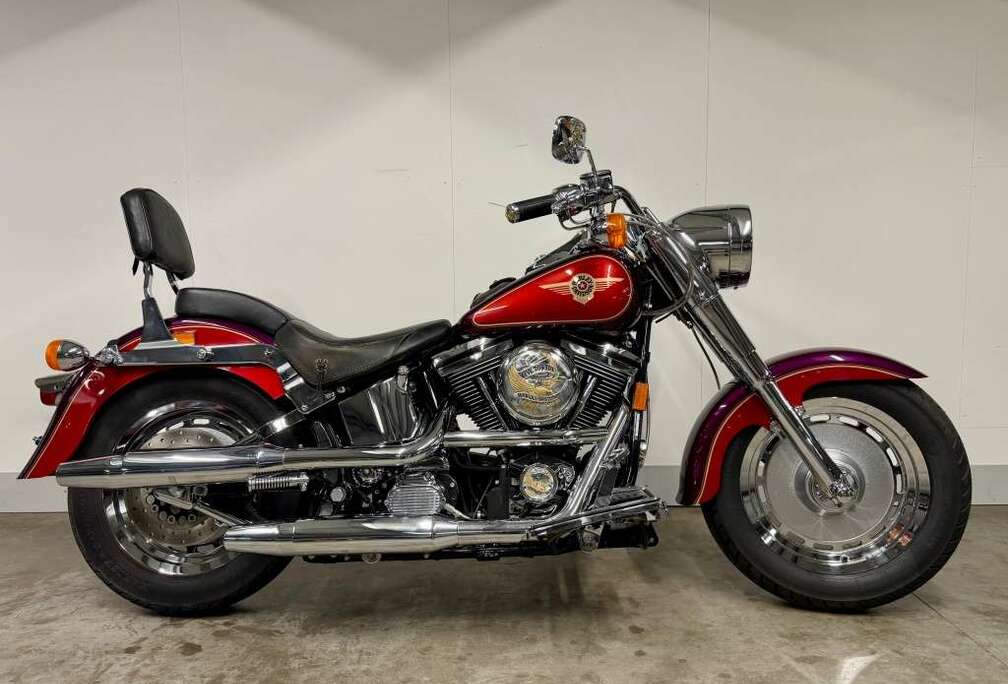 SOFTAIL FLSTF