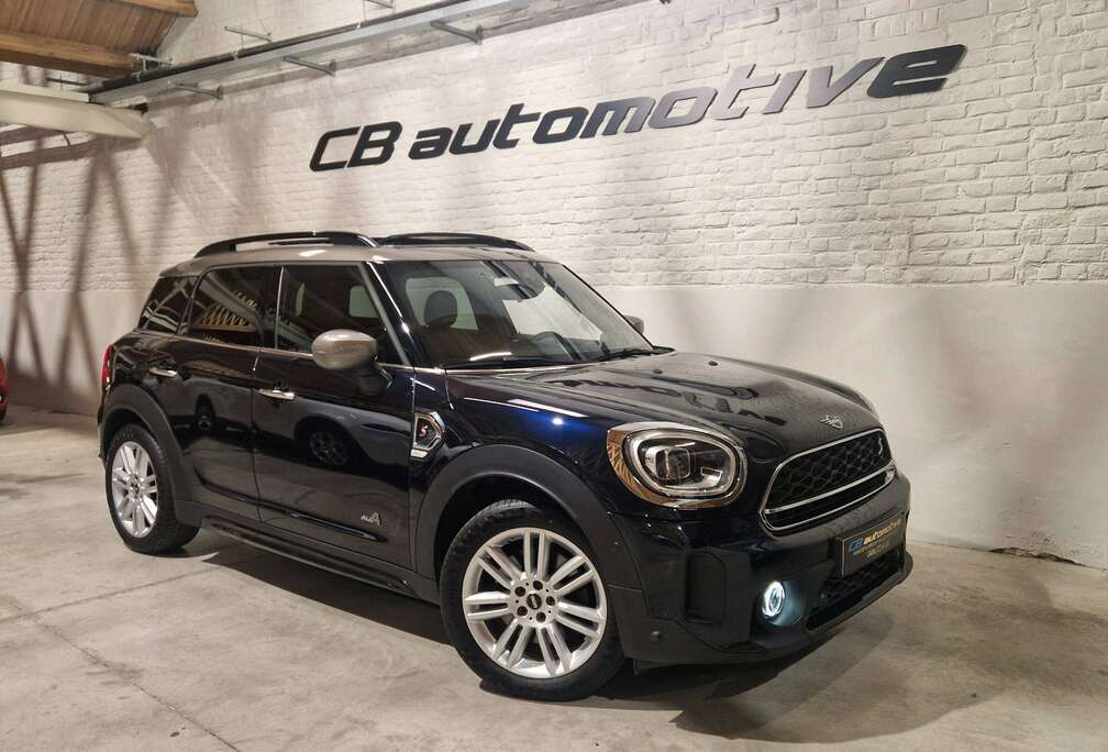 MINI Mini Countryman 2.0 Cooper S ALL4