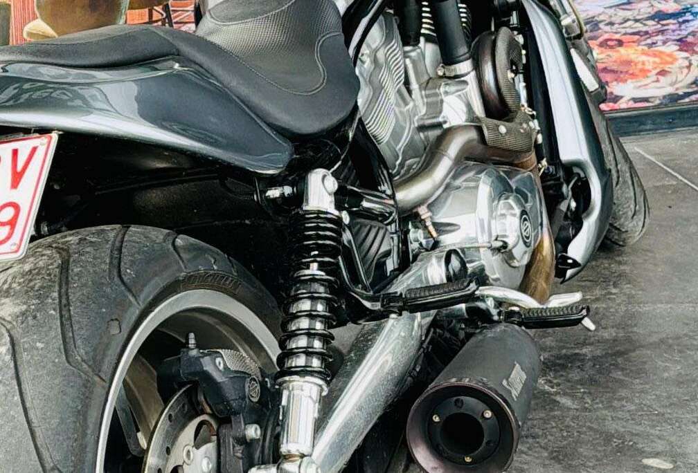 Muscle  / Stage 1