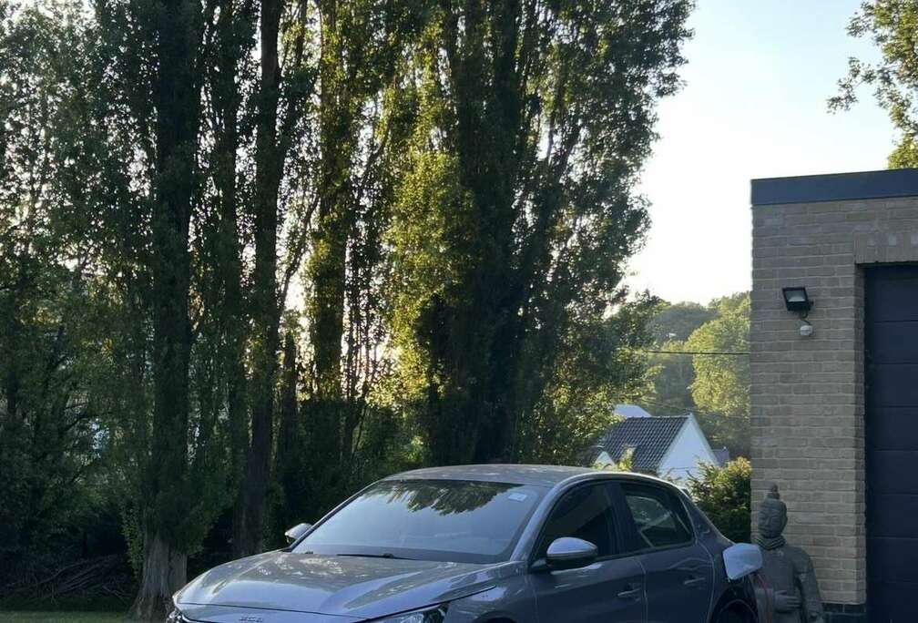 Peugeot 50 kWh GT Pack