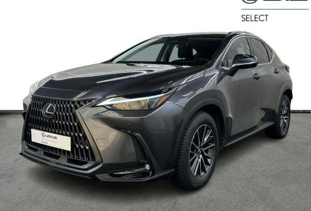 Lexus Executive Line PHEV