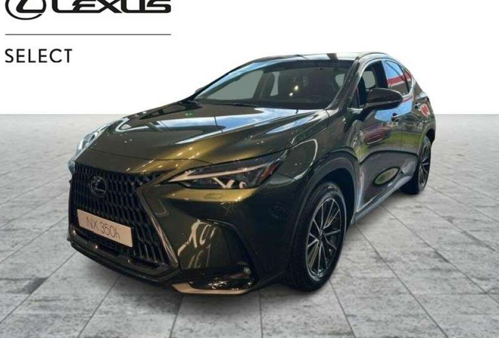 Lexus Executive Line