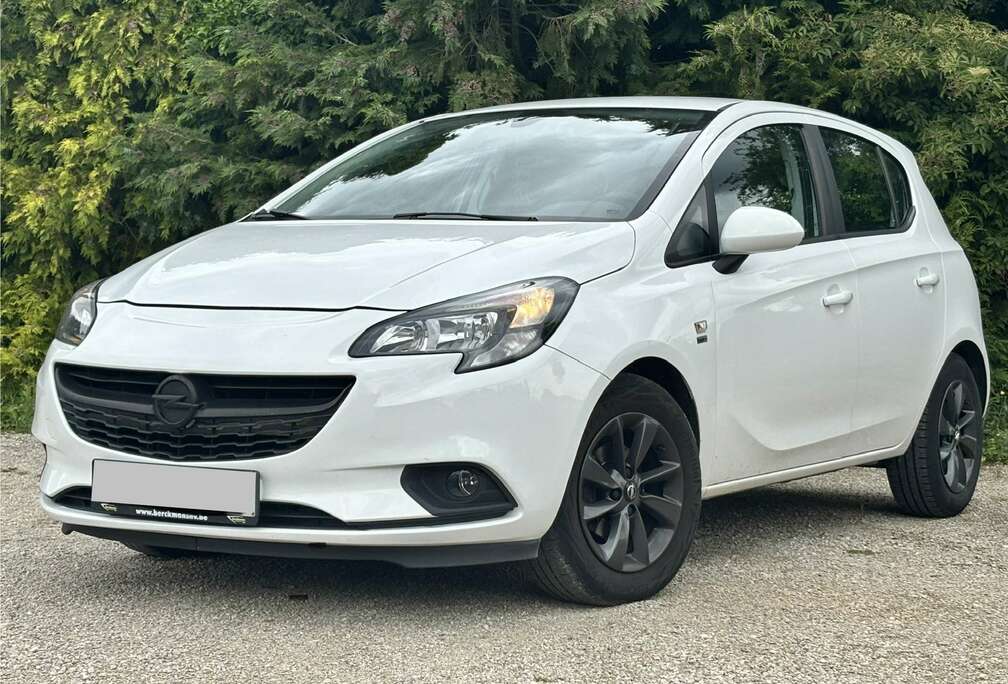 Opel Gekeurd V.V.  1 Eigenaar  Carplay  Dealeronder