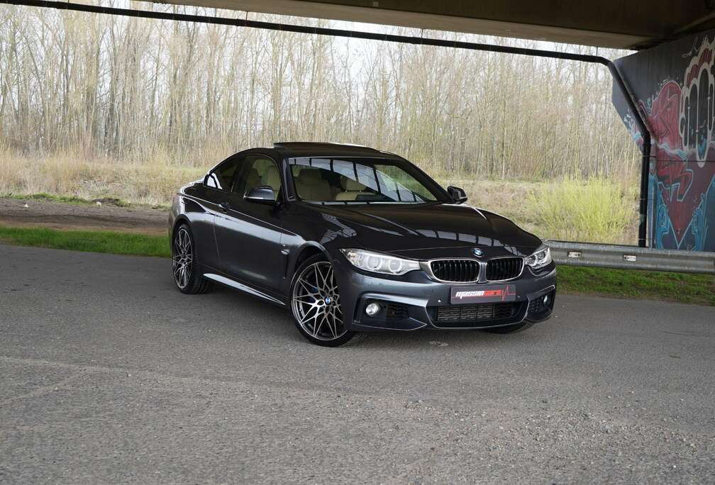 BMW M-Pakket  xDrive  20\