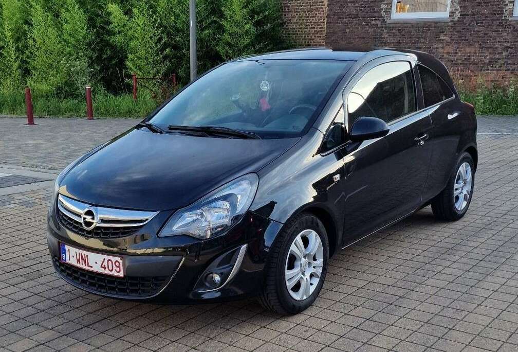 Opel 1.3 CDTi Black Edition DPF