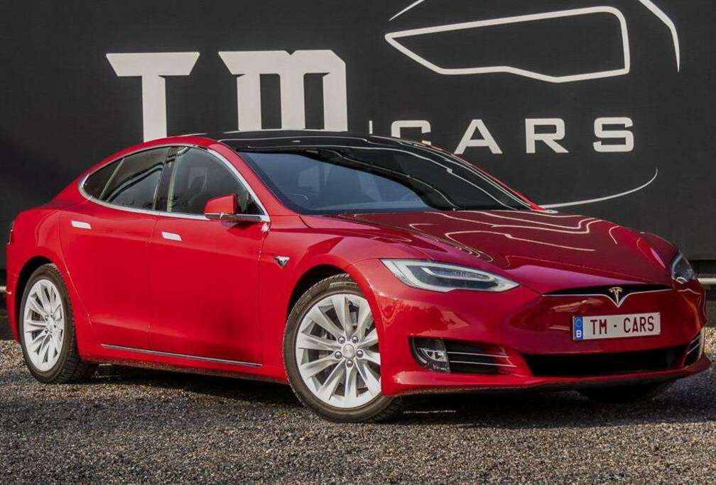 Tesla Automatisch rijden/camera