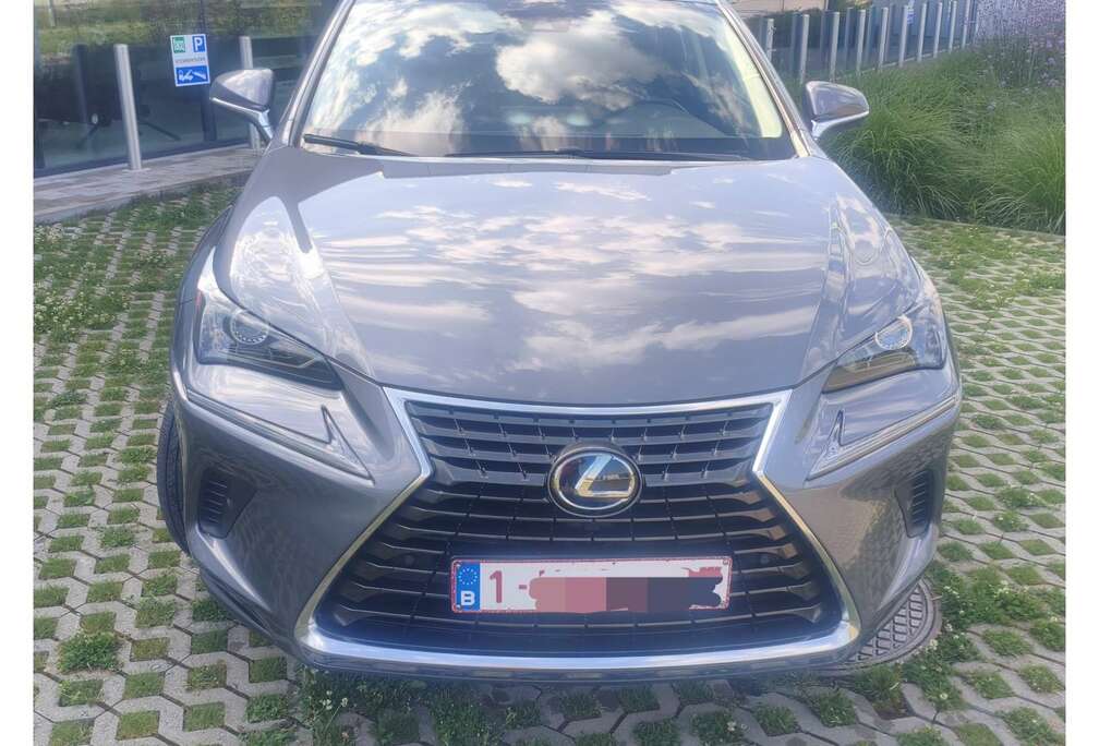 Lexus Business Edition