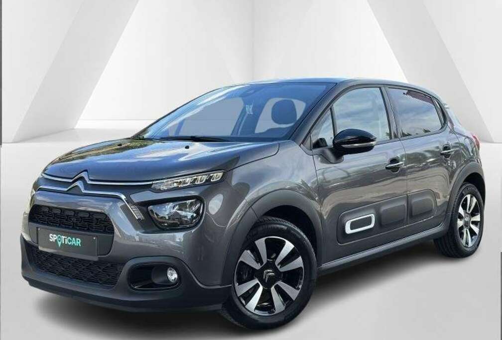 Citroen Max