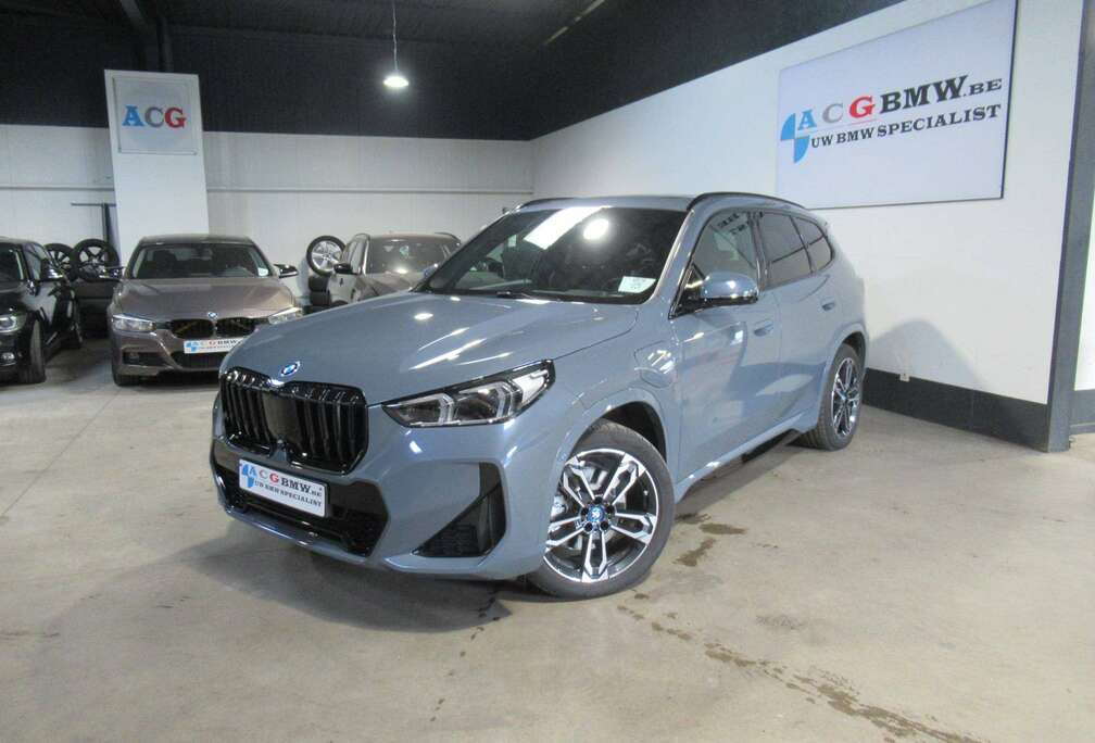 BMW 25E Hybride Pano Full Camera Storm Bay Grey LED 19\
