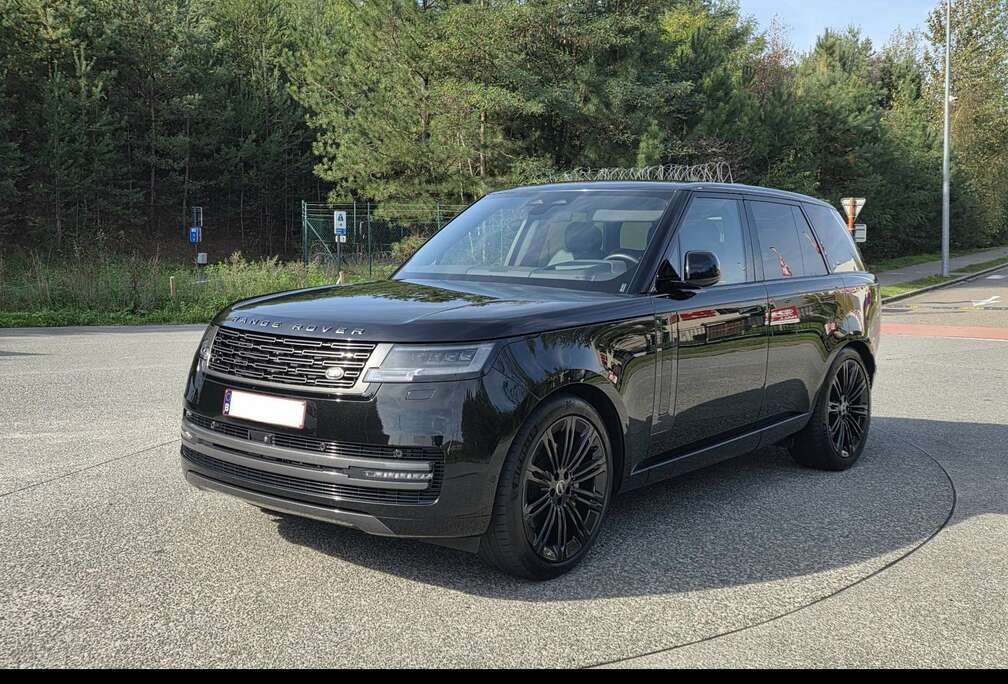 Land Rover D300 HSE | Lichte Vracht | Garantie tot 5/2029