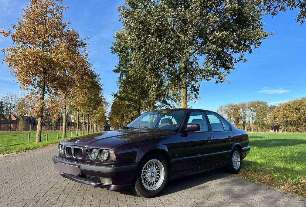 BMW 525i 24V Executive