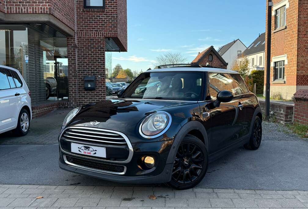 MINI // FULL OPTIE... // PANO DAK //