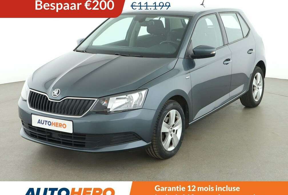 Skoda 1.0 TSI Clever