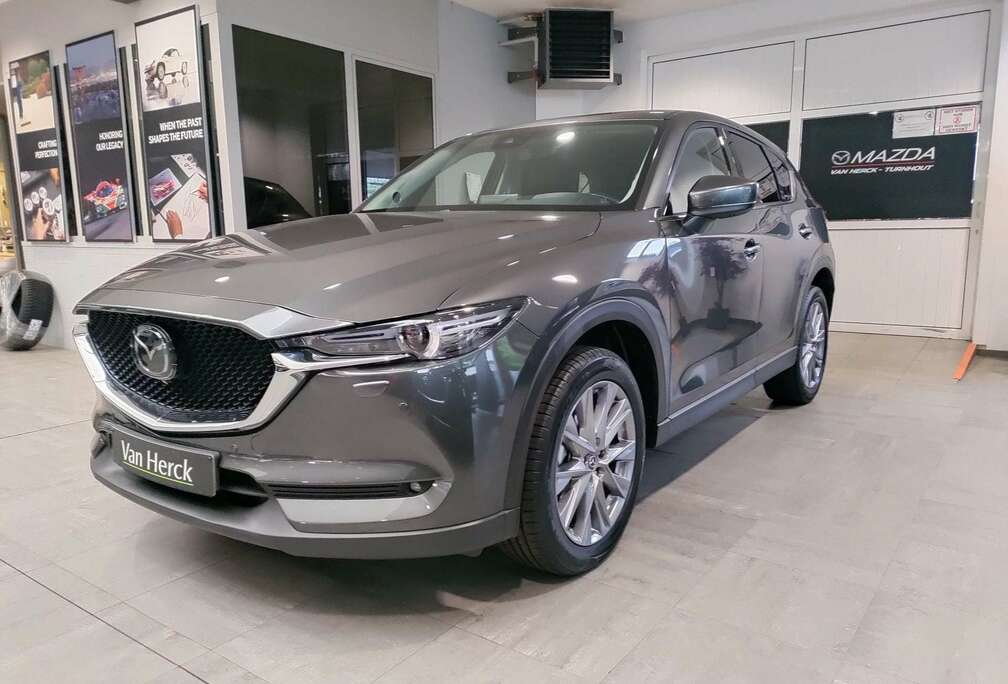 Mazda 2.0 SKYACTIV-G Skycruise automaat