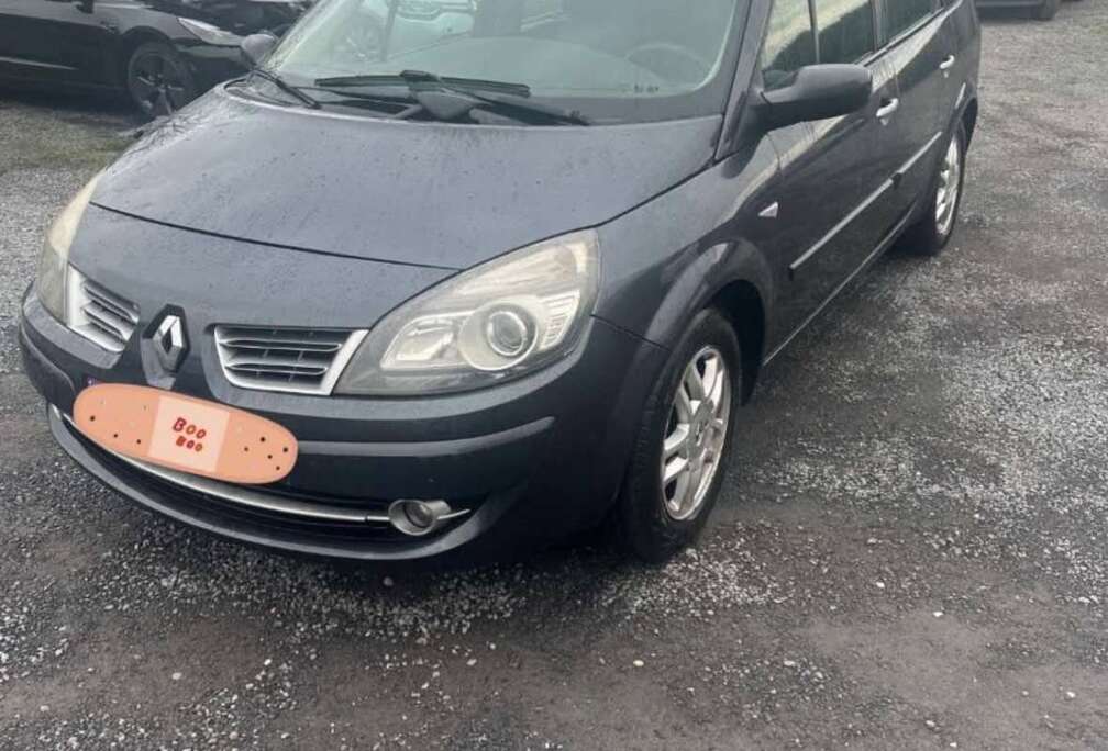 Renault 1.9 dCi 130 Expression