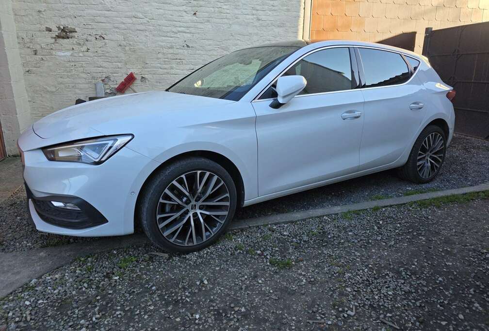 SEAT 2.0 TDI EVO Xcellence DSG (EU6AP)