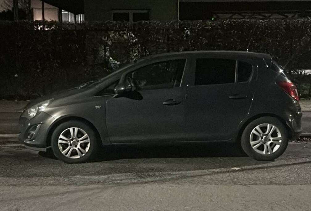 Opel 1.3 CDTI DPF (ecoFLEX) Selection