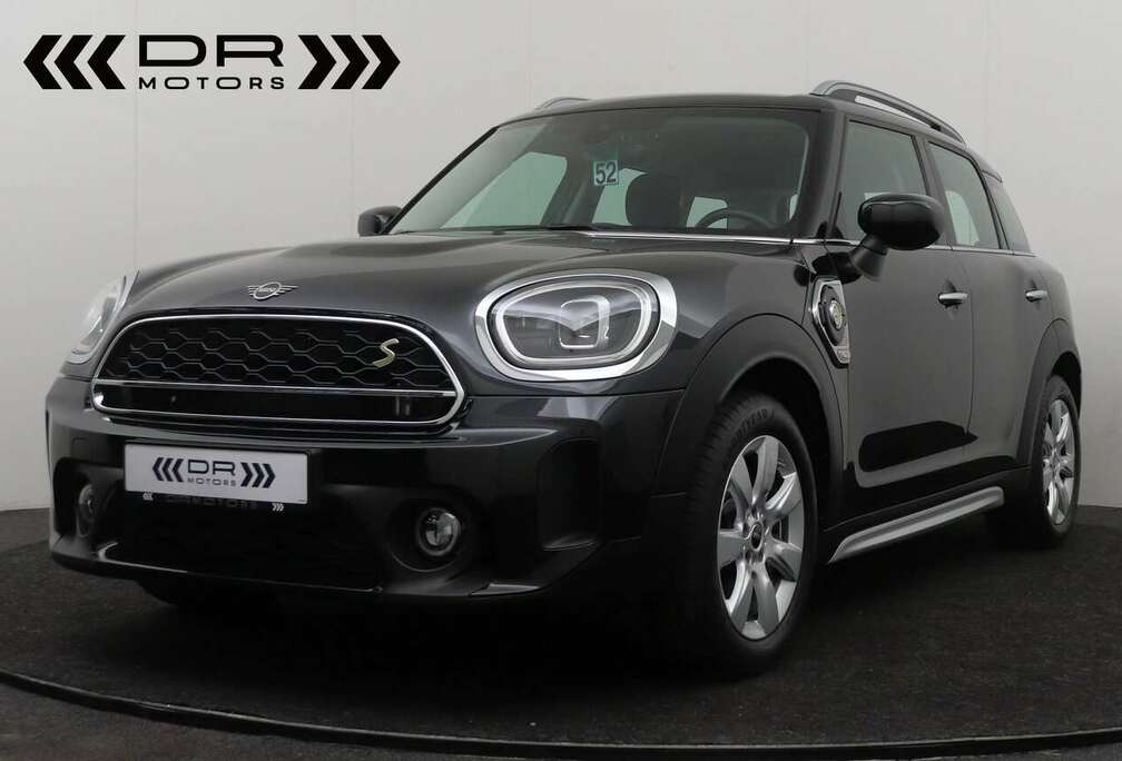 MINI HYBRID -