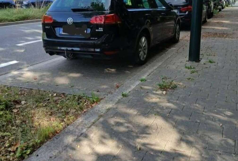 Volkswagen SW 1.6 CR TDi 4Motion Trendline