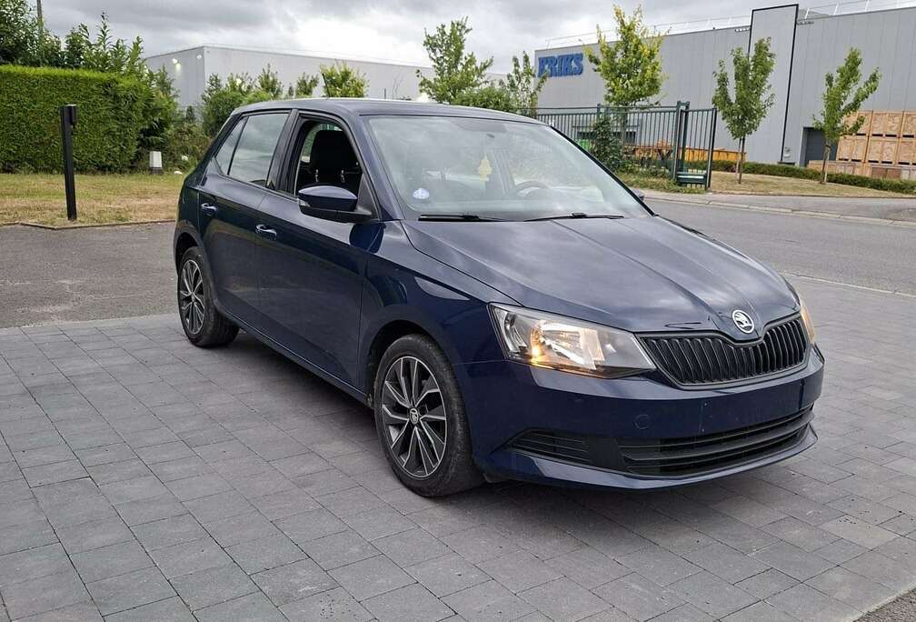 Skoda 1.0