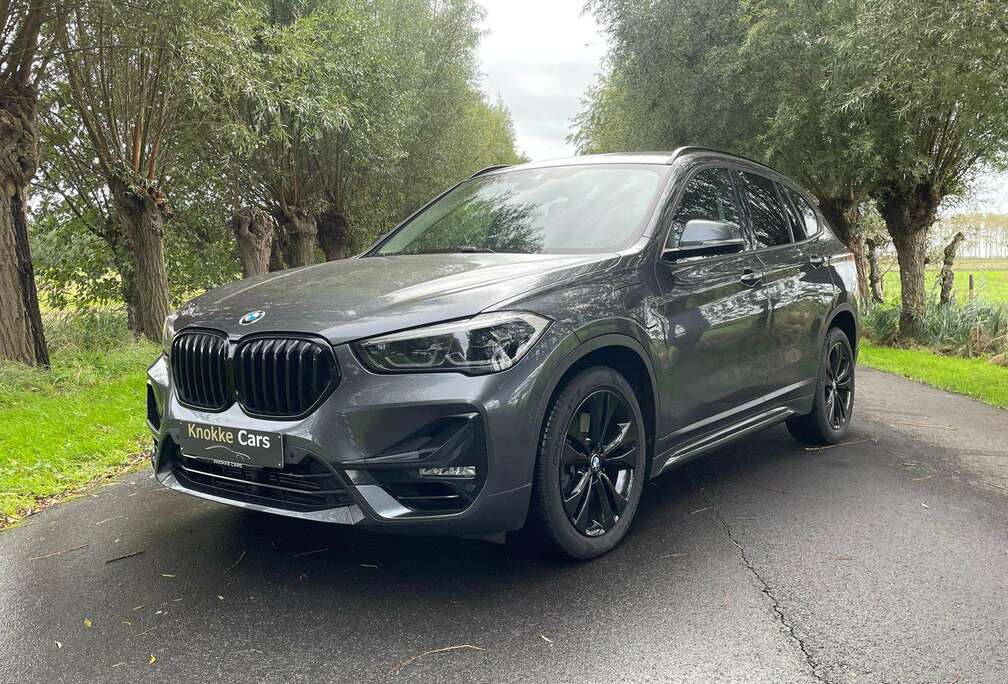 BMW Plug in Hybrid,X-Drive 25e Sportline,Sportzetel,Parkeerhulp met camera,Trekhaak