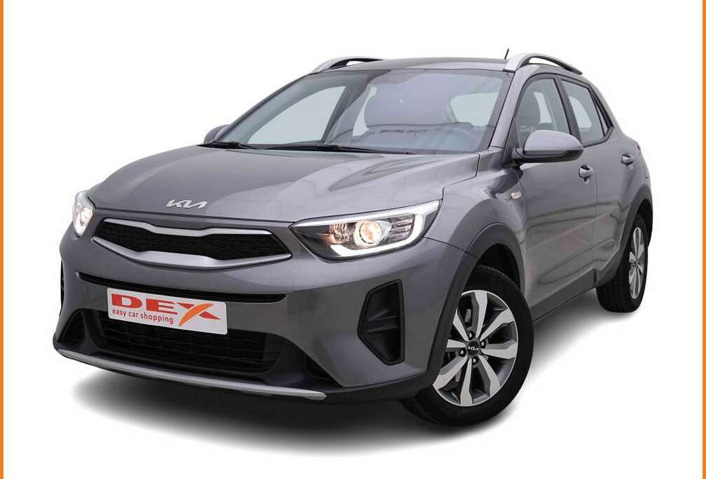 Kia 1.2i 85 Pure | Carplay