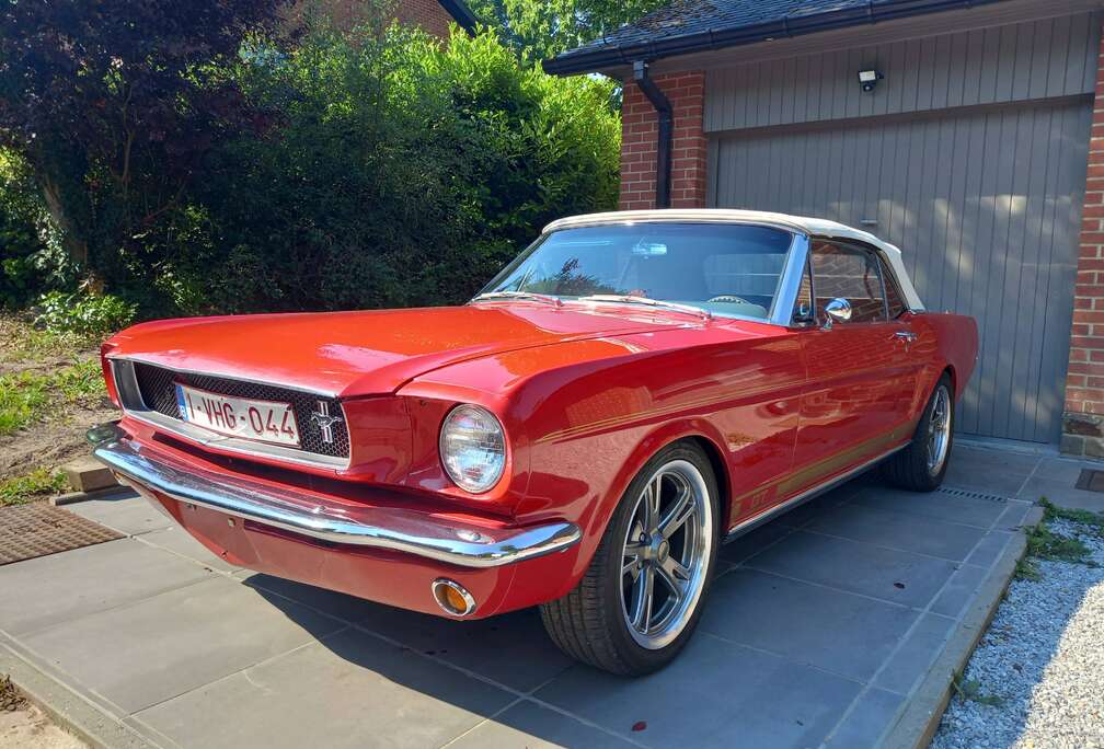 Ford 286 V8  1964 1/2